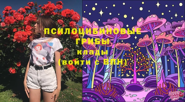 a pvp Верхний Тагил
