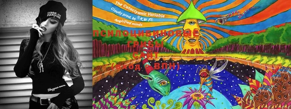 MDMA Верея